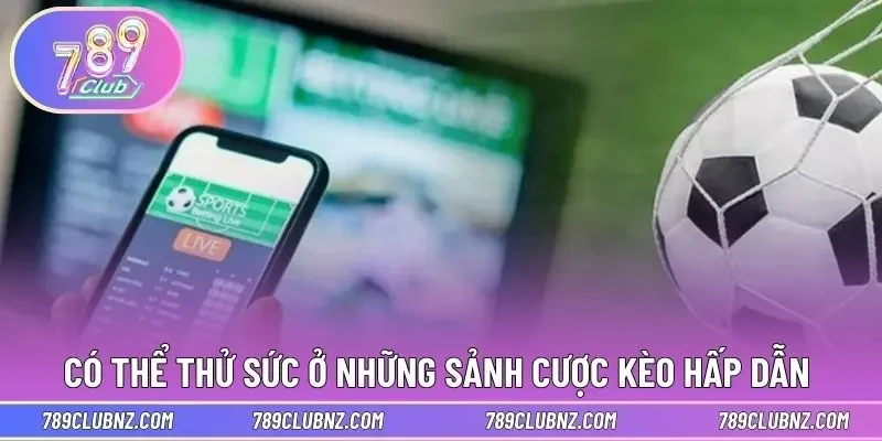 Có thể thử sức ở những sảnh cược kèo hấp dẫn 