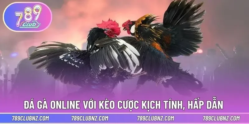 Đá gà online với kèo cược kịch tính, hấp dẫn 